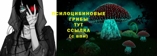 дмт Арсеньев