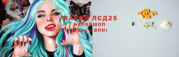 дмт Арсеньев