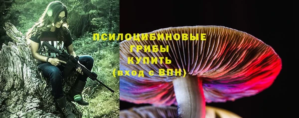 дмт Арсеньев