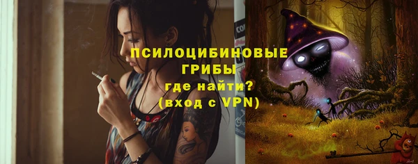 spice Армянск