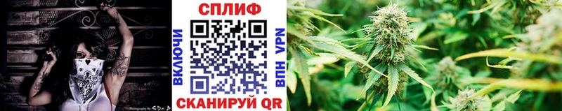 Конопля план  Тавда 
